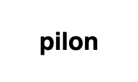 pilon